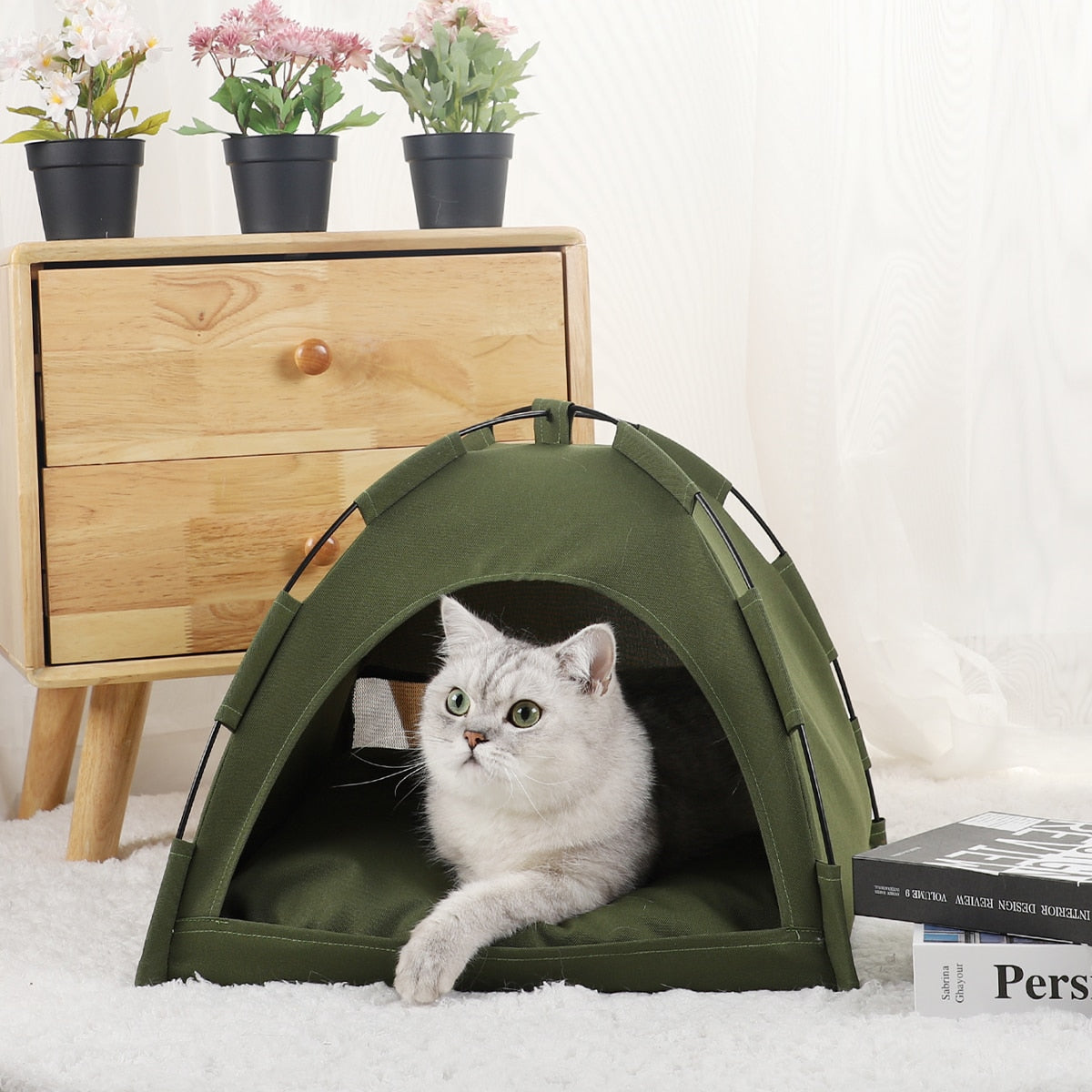 Pet Tent Bed!