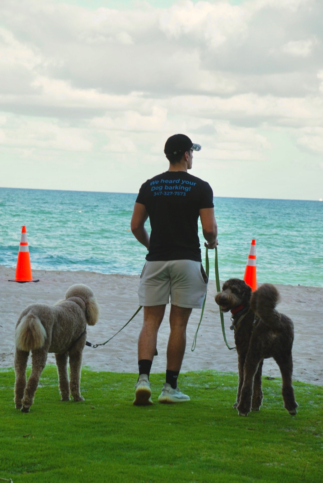 The Benefits of Regular Dog Walking: How It Can Improve Your Furry Friend's Health and Happiness